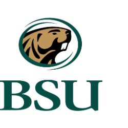 Bemidji State Beavers – Great American